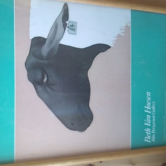 BETH VAN HOESEN Framed Art Ewe #84 - Picture 5 of 16